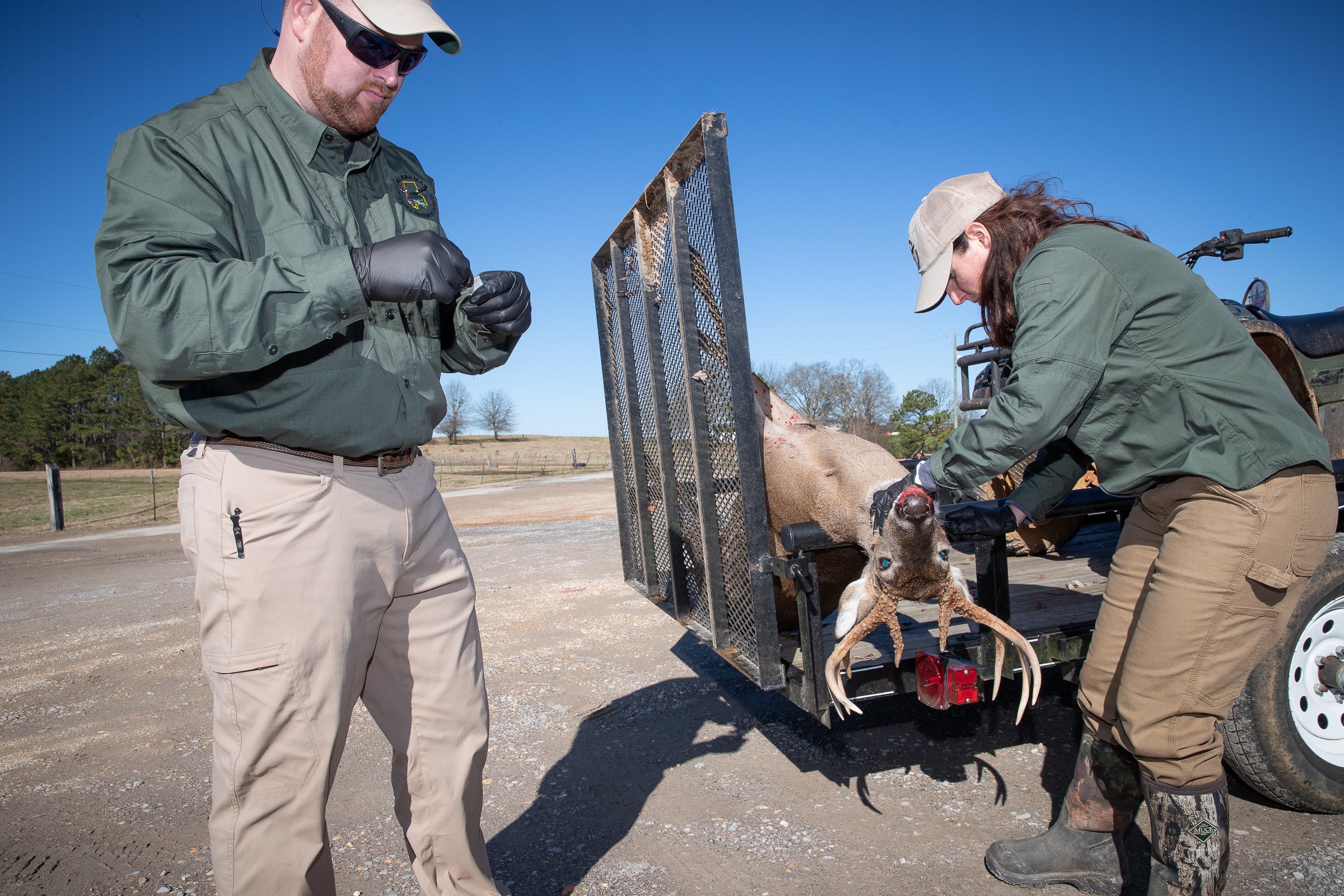 WFF Reports No CWD Positives In Alabama; Testing Continues | Outdoor ...